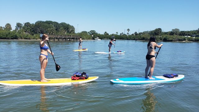 fun in the sun